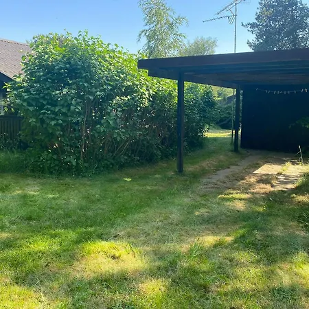 Black Wooden Near Forest And