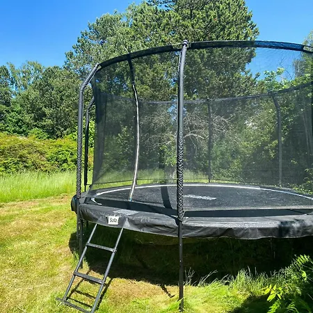 Black Wooden Near Forest And Melby