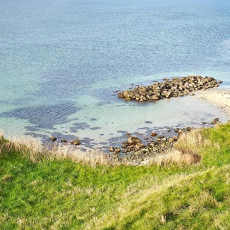 Black Wooden Near Forest And *