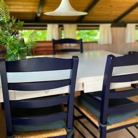 Black Wooden Near Forest And