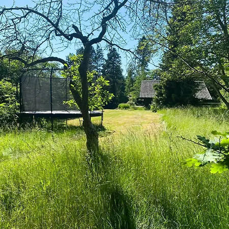 Black Wooden Near Forest And Сasa de vacaciones Melby