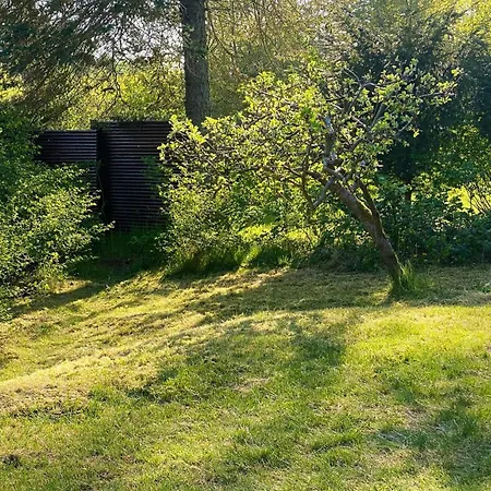 Black Wooden Near Forest And * Melby