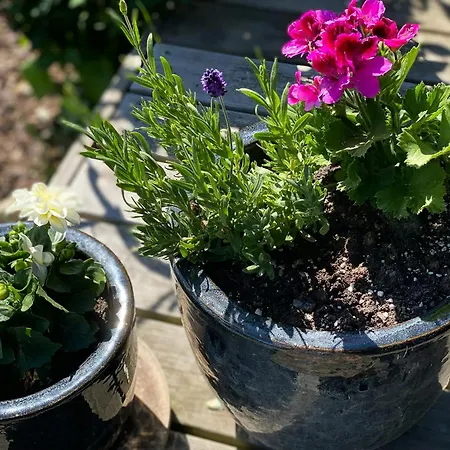 Сasa de vacaciones Black Wooden Near Forest And