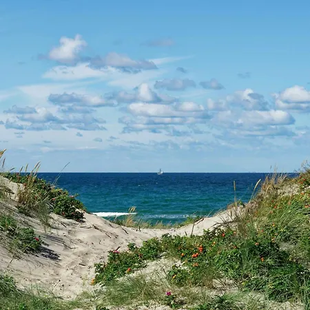 Сasa de vacaciones Black Wooden Near Forest And