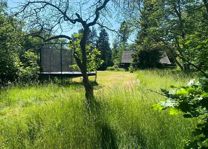 Black Wooden Near Forest And Feriehus Melby