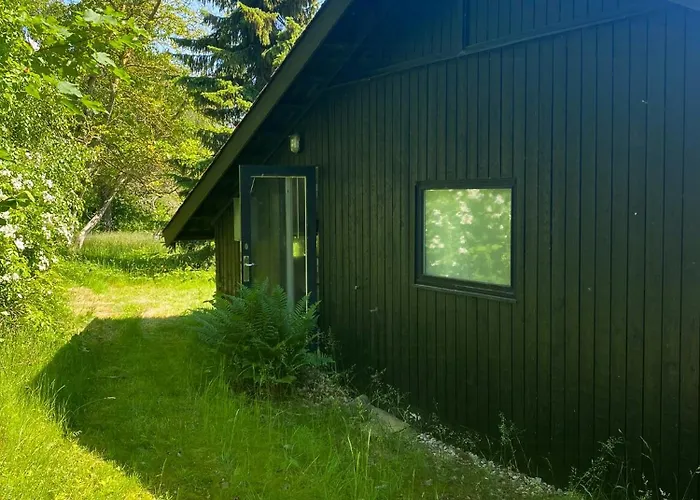 Black Wooden Near Forest And