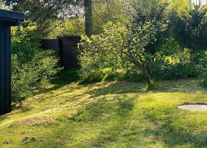 Black Wooden Near Forest And * Melby
